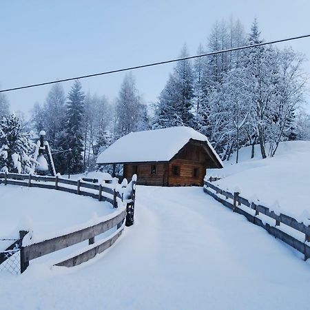 Ferienhaus Gobald Murau Exterior photo